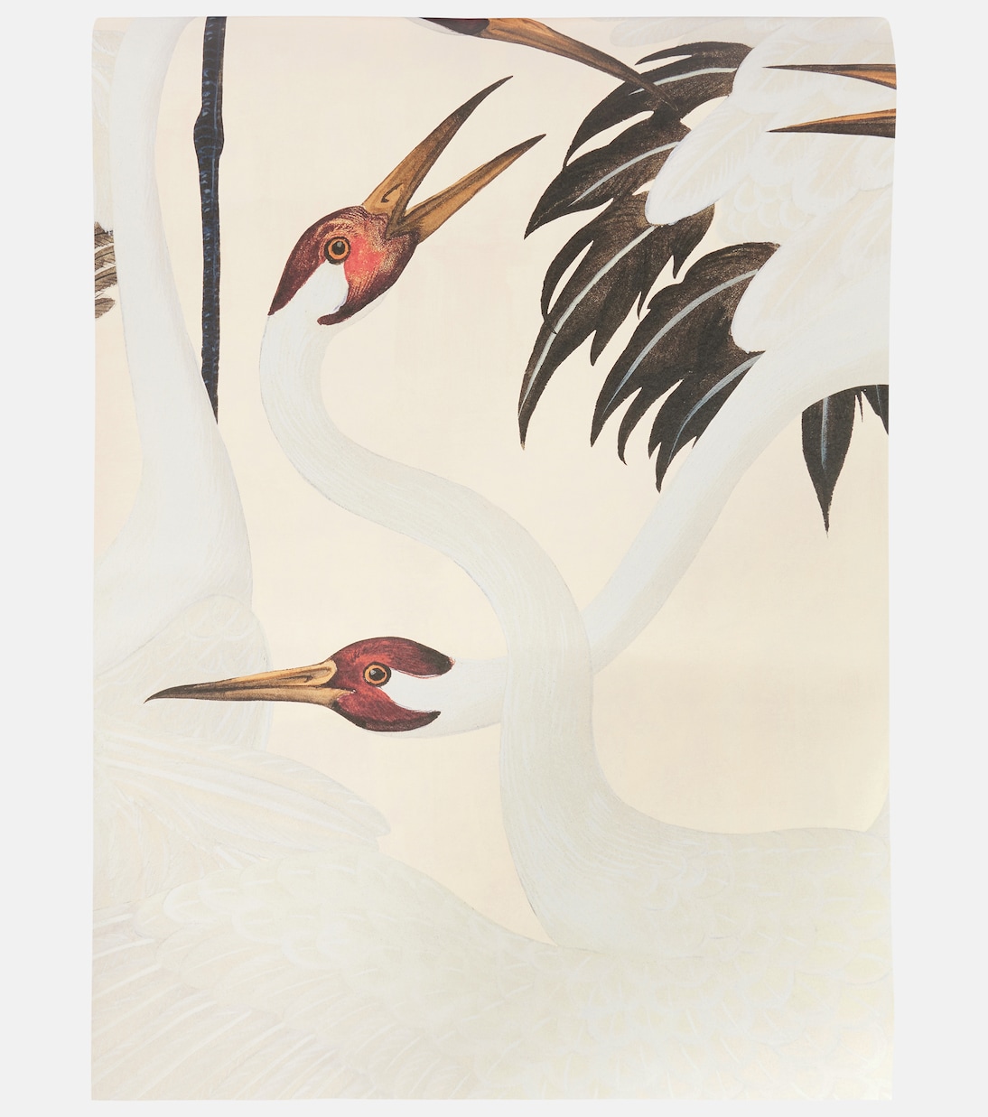 Heron wallpaper | Gucci