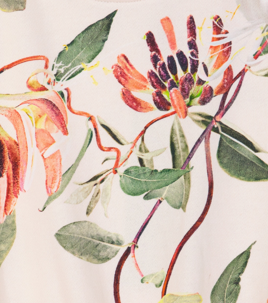 Felpa Marge in cotone con stampa | Molo