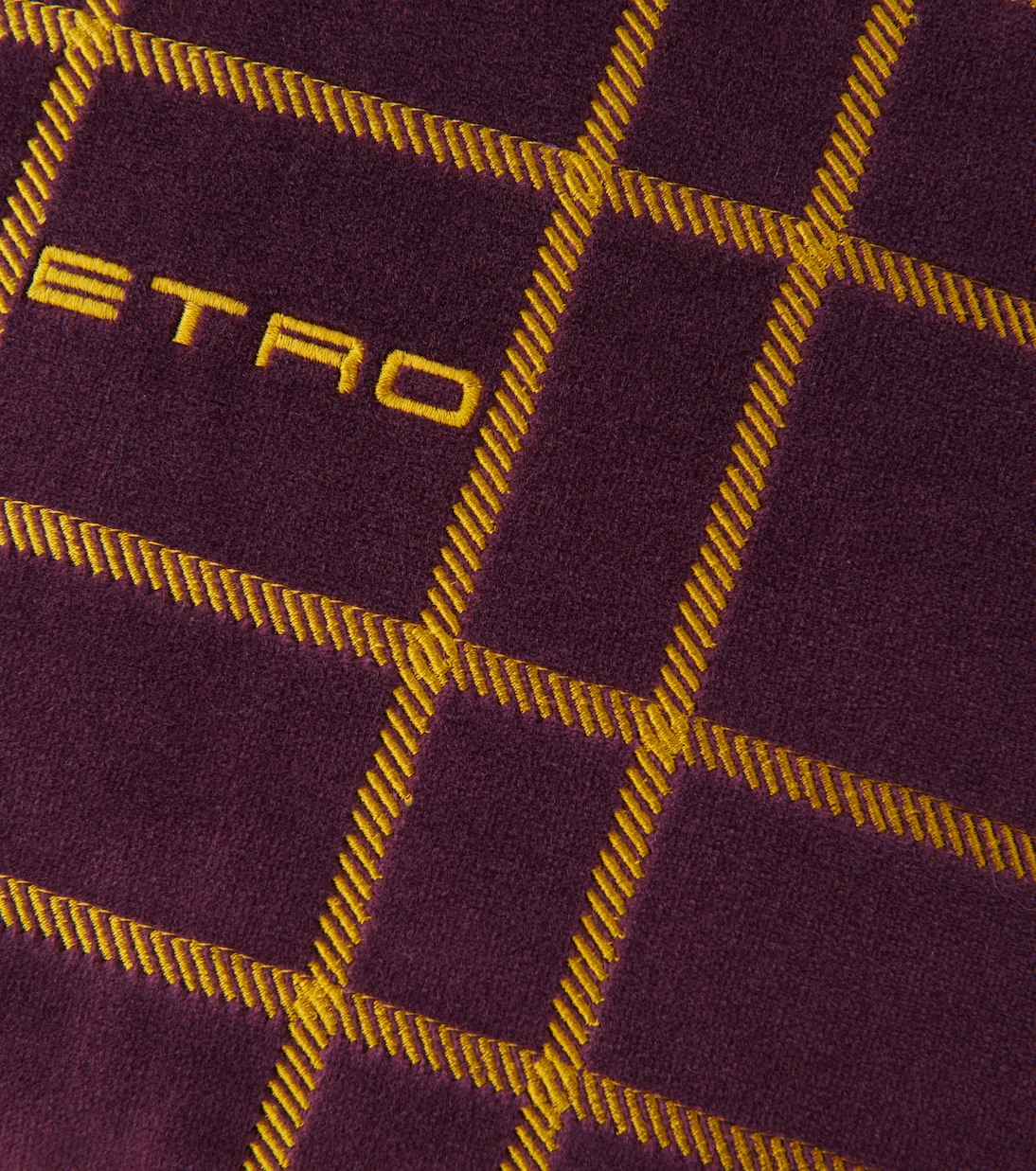 Cuscino in velluto con ricamo | Etro