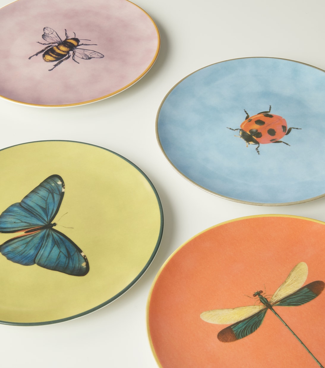 Piatto Insetti con farfalla | Les-Ottomans