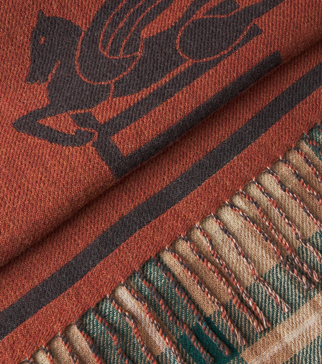Wool throw  | Etro