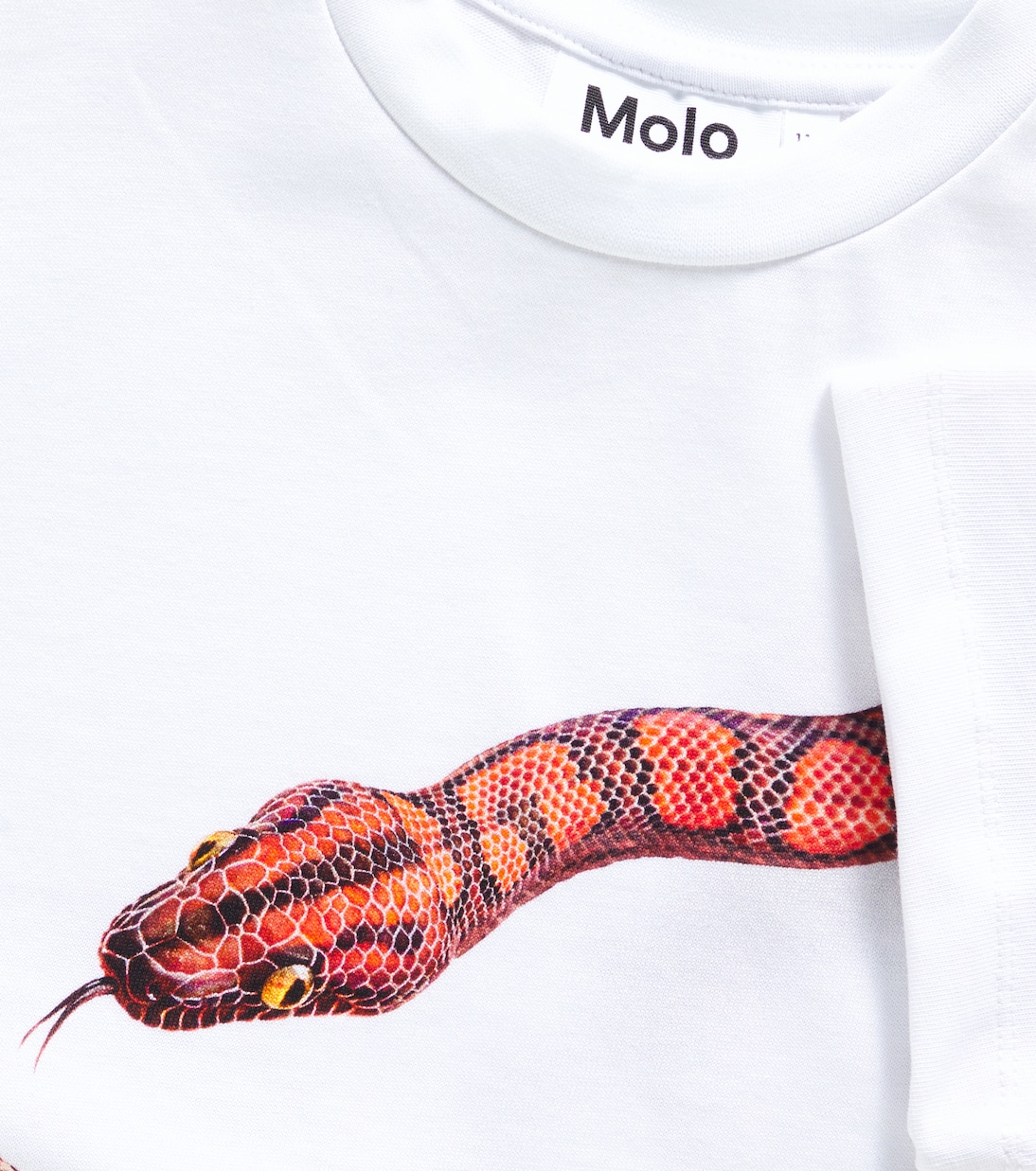 Camiseta en jersey de algodón estampada | Molo