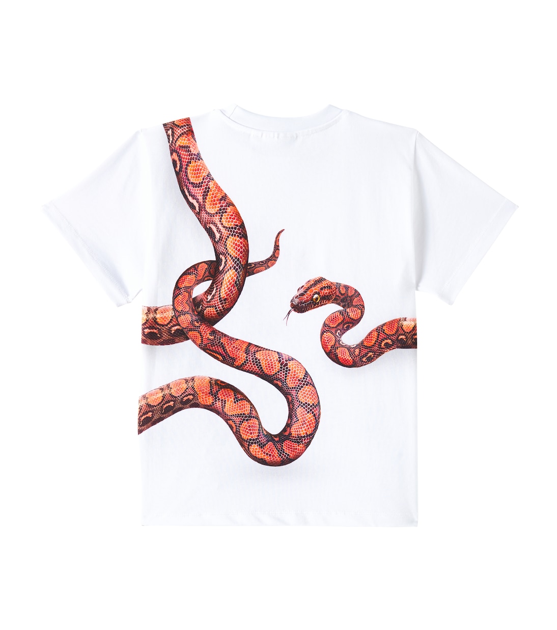 Camiseta en jersey de algodón estampada | Molo