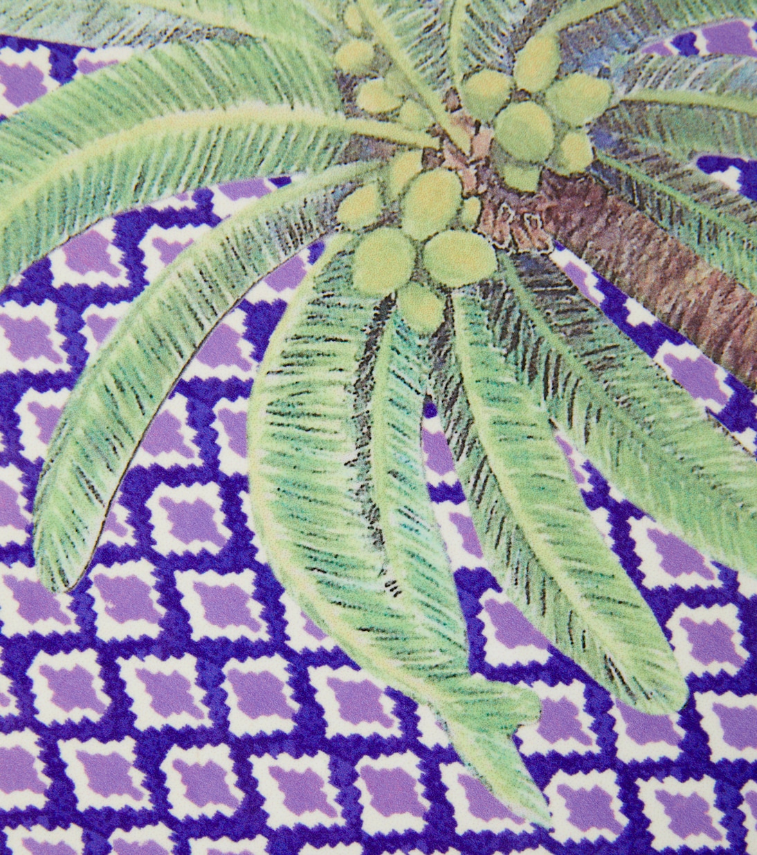 Hima Palma set of 2 placemats | Lisa Corti