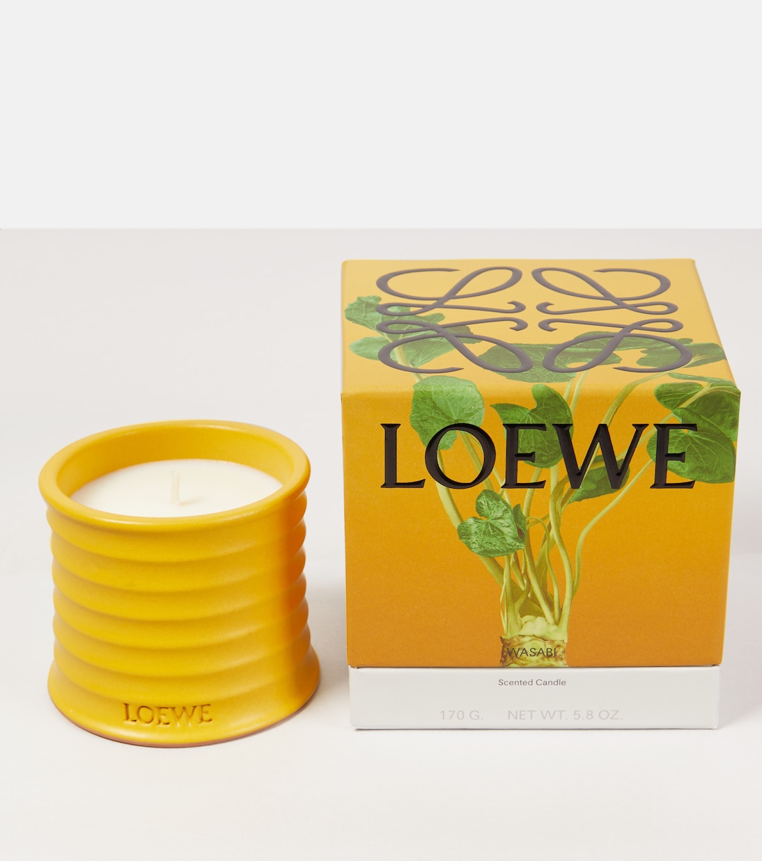 Bougie parfumée Wasabi | Loewe Home Scents