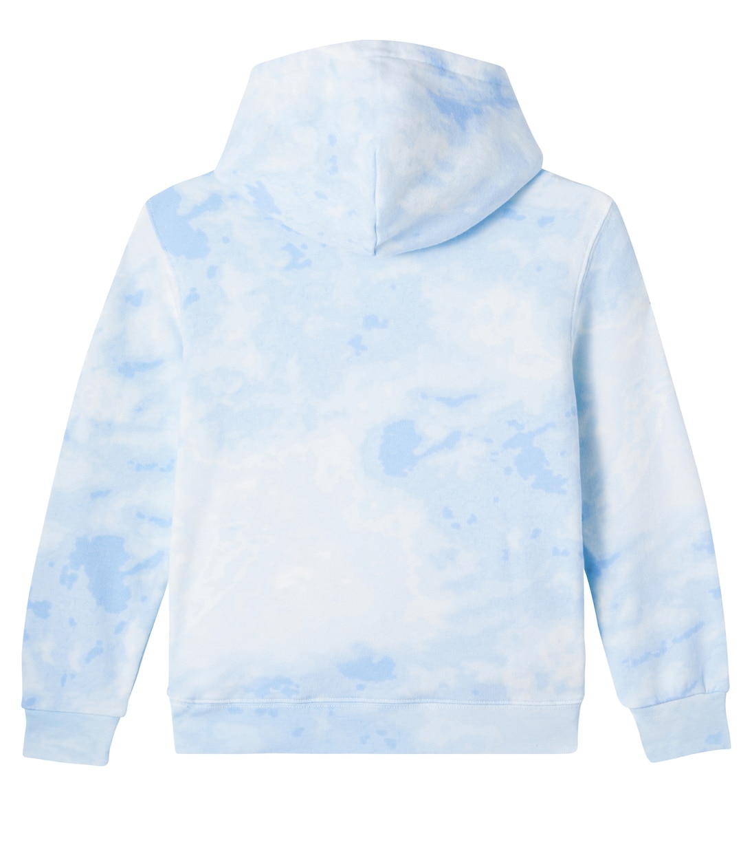 Sweat-shirt à capuche Polo Bear | Polo Ralph Lauren Kids