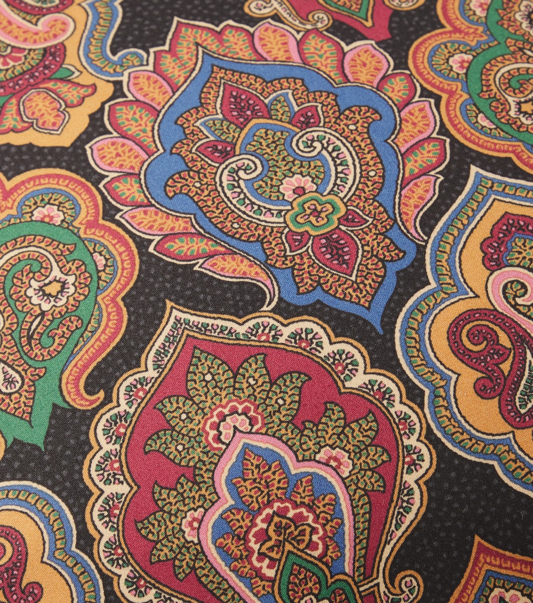 Cojín Pegaso Paisley de algodón | Etro