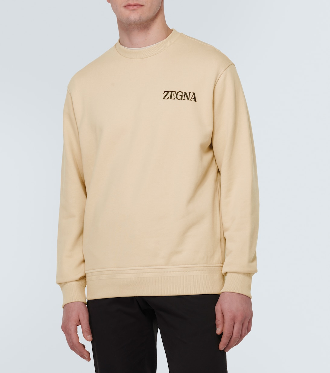 Sudadera de jersey de algodón con logo | Zegna