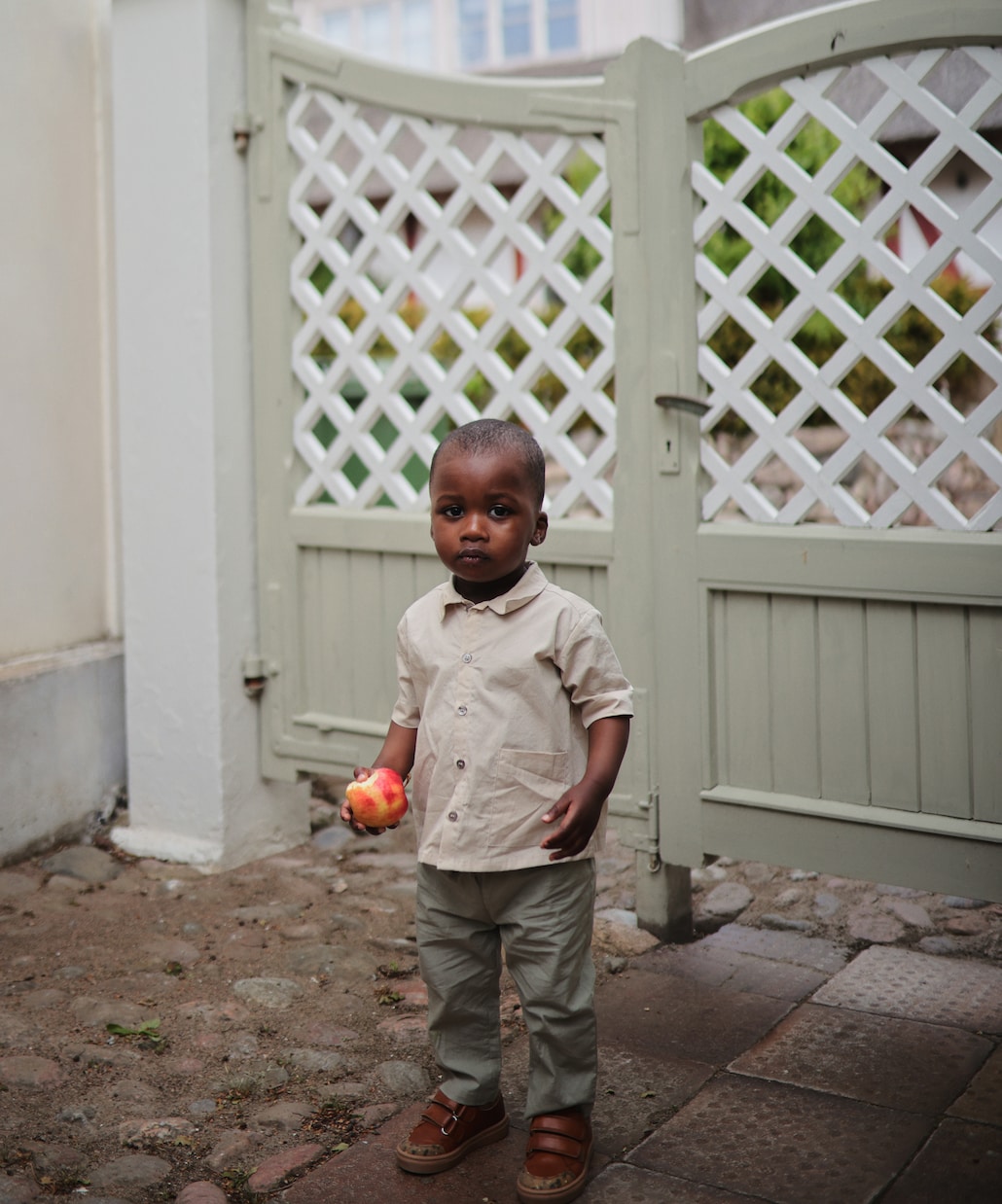 Baskets Low en cuir | Petit Nord
