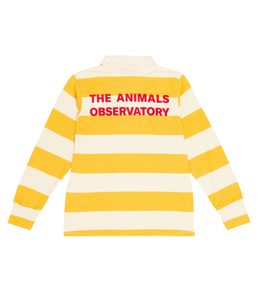 Rugby Shirt Eel | The Animals Observatory