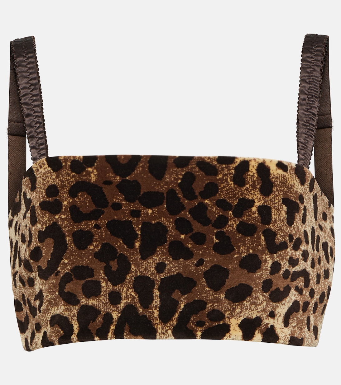 Top cropped in velluto con stampa | Dolce&Gabbana