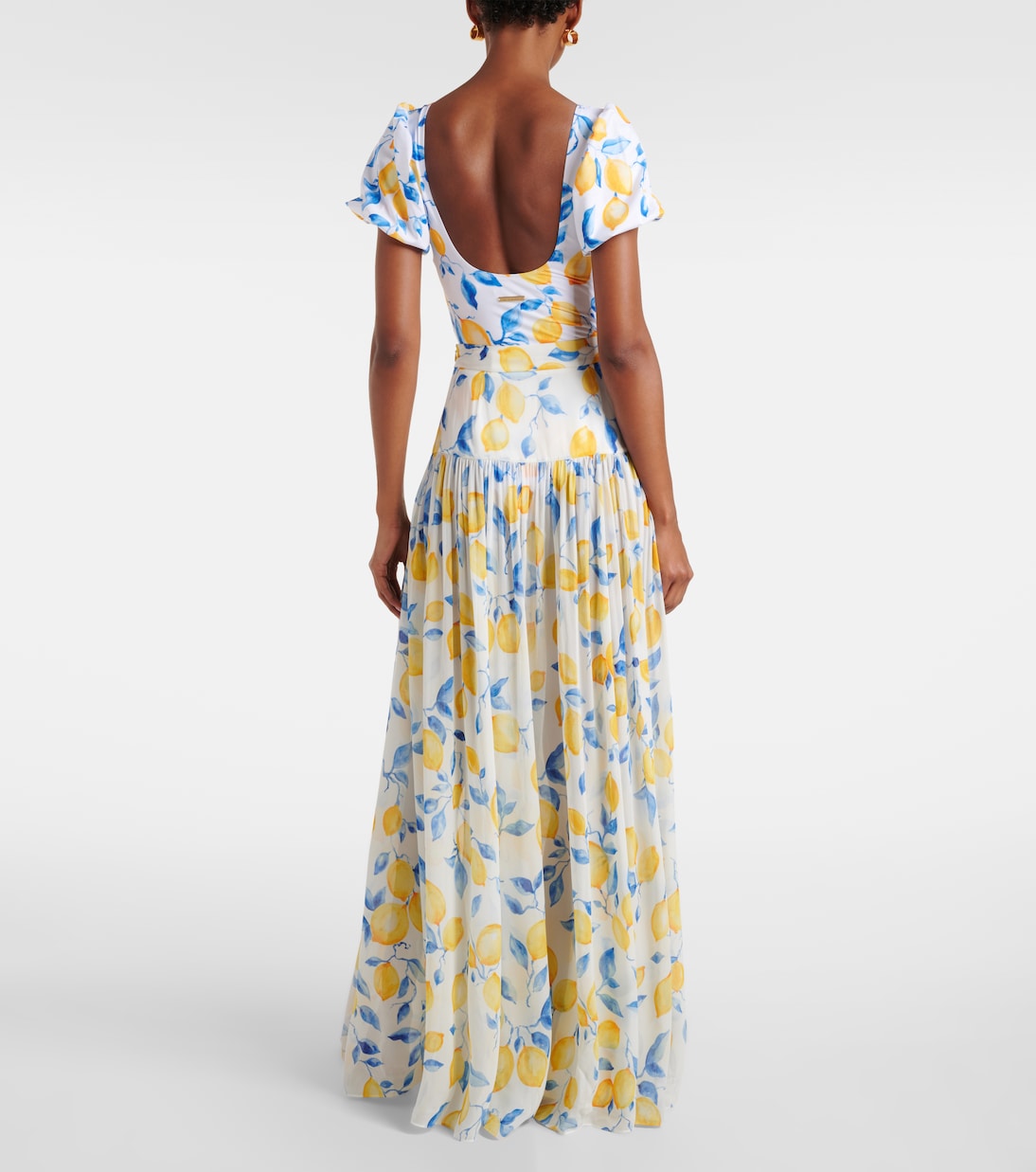 Jamie sheer maxi skirt | Alexandra Miro