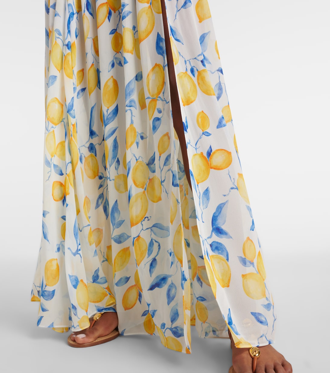 Jamie sheer maxi skirt | Alexandra Miro