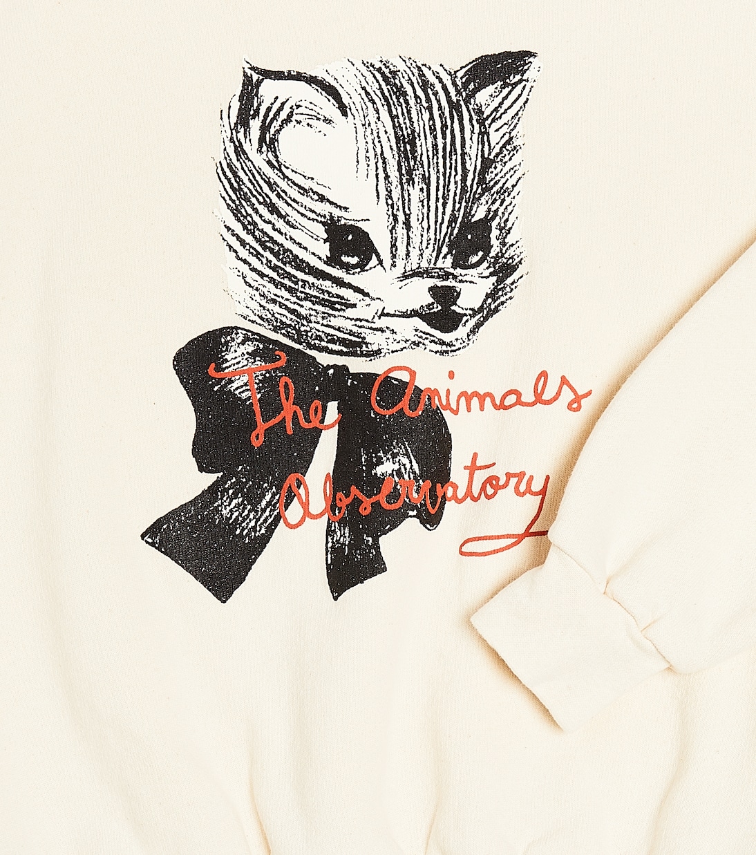 Sudadera Big Bear de algodón estampada | The Animals Observatory