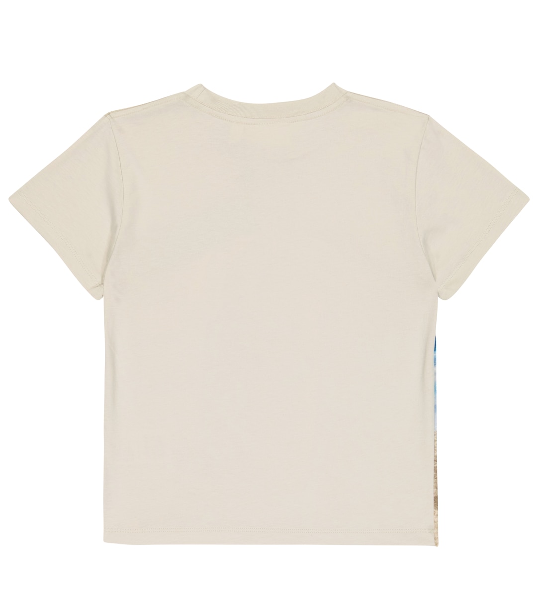 Camiseta Rame de algodón estampada | Molo