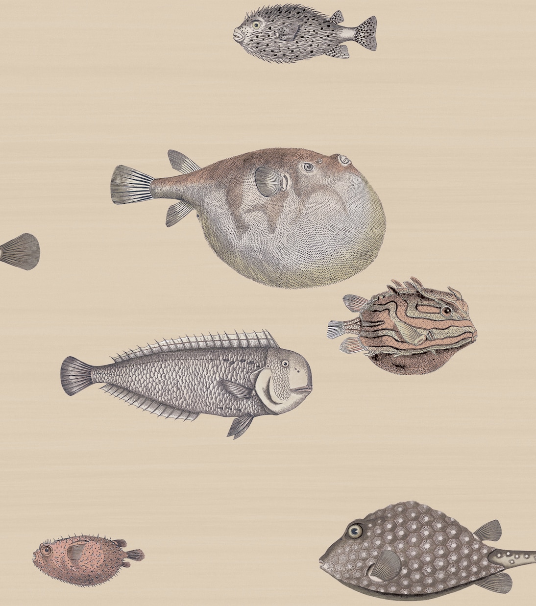 X Cole & Son Tapete Acquario | Fornasetti