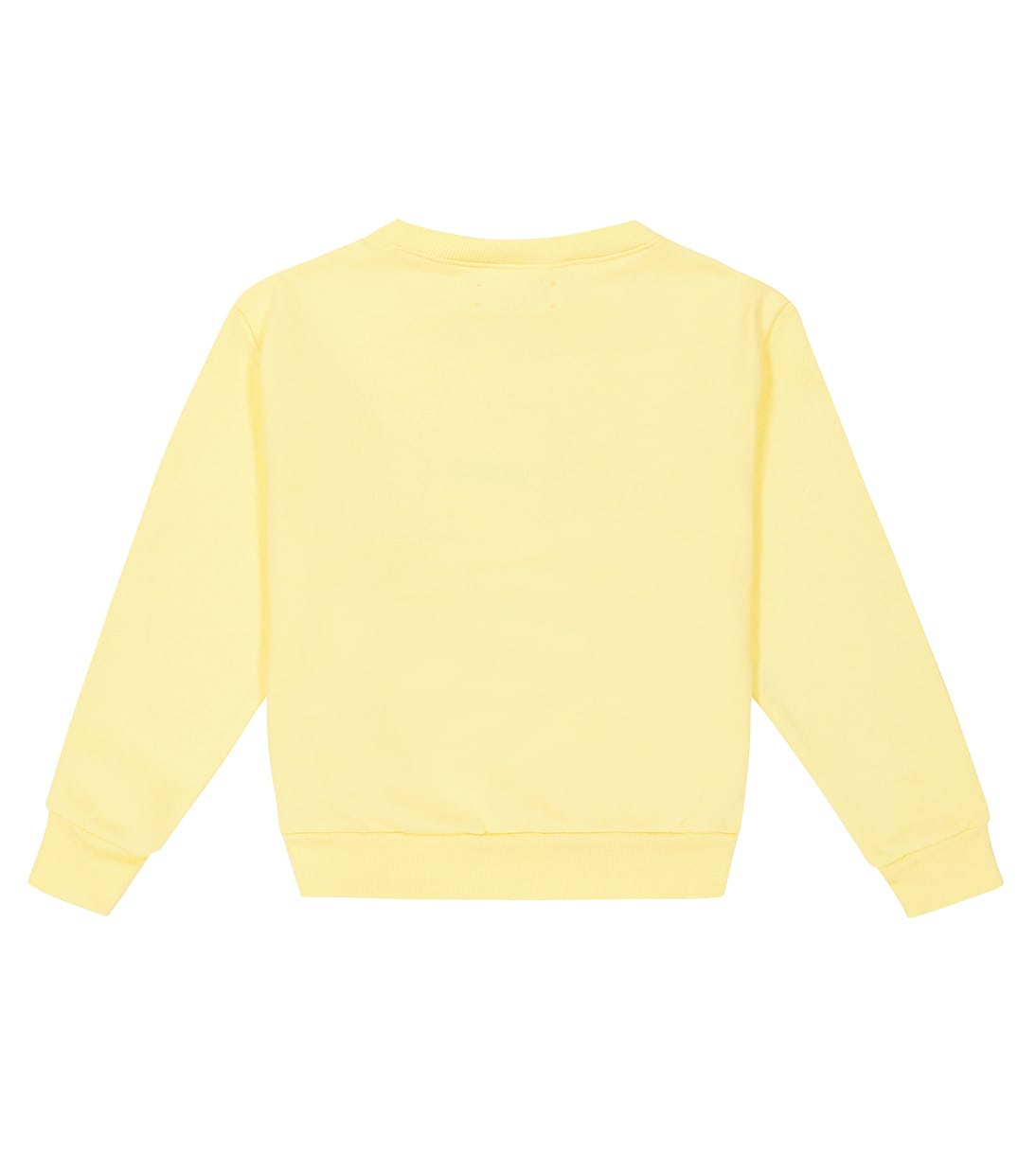 Sudadera Bear en jersey de algodón | The Animals Observatory
