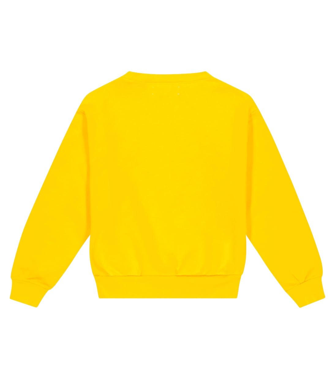 Sudadera Bear de algodón | The Animals Observatory