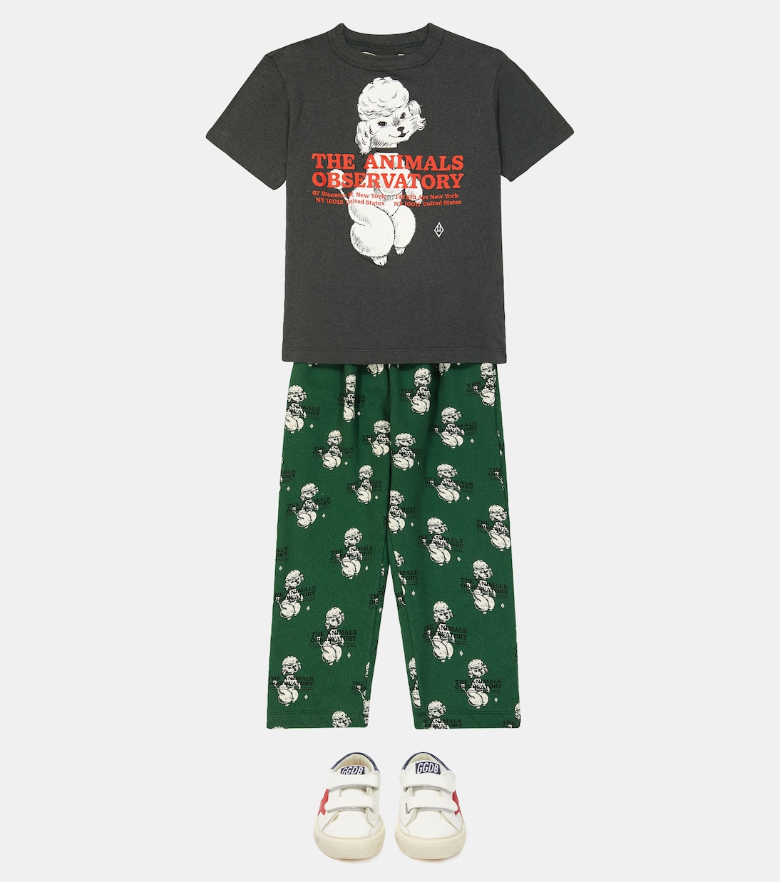 Cameleon cotton sweatpants  | The Animals Observatory