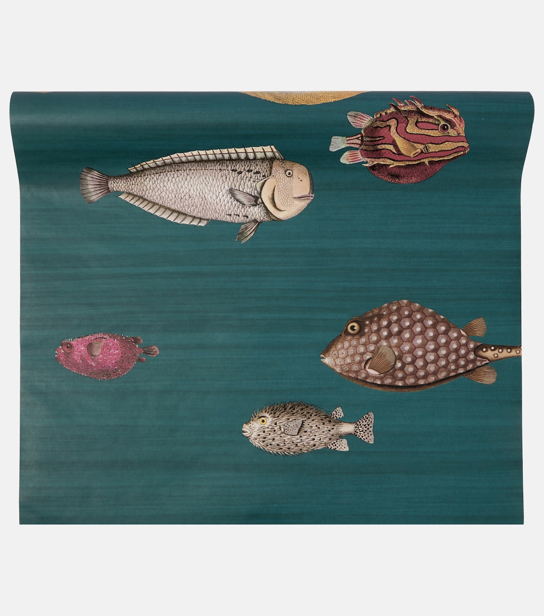 x Cole & Son – Papier peint Acquario | Fornasetti