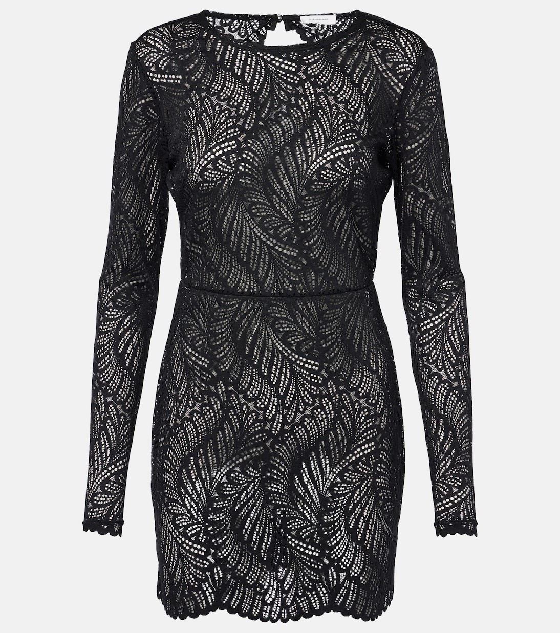 Robe Genevieve en dentelle | Alexandra Miro