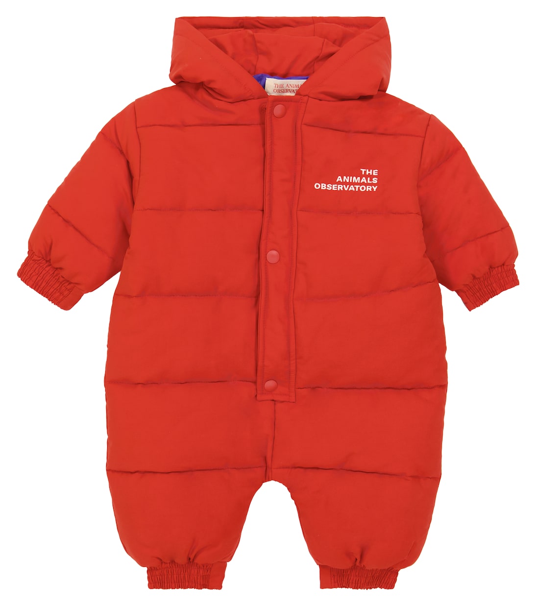 Baby Bumblebee padded cotton-blend onesie | The Animals Observatory