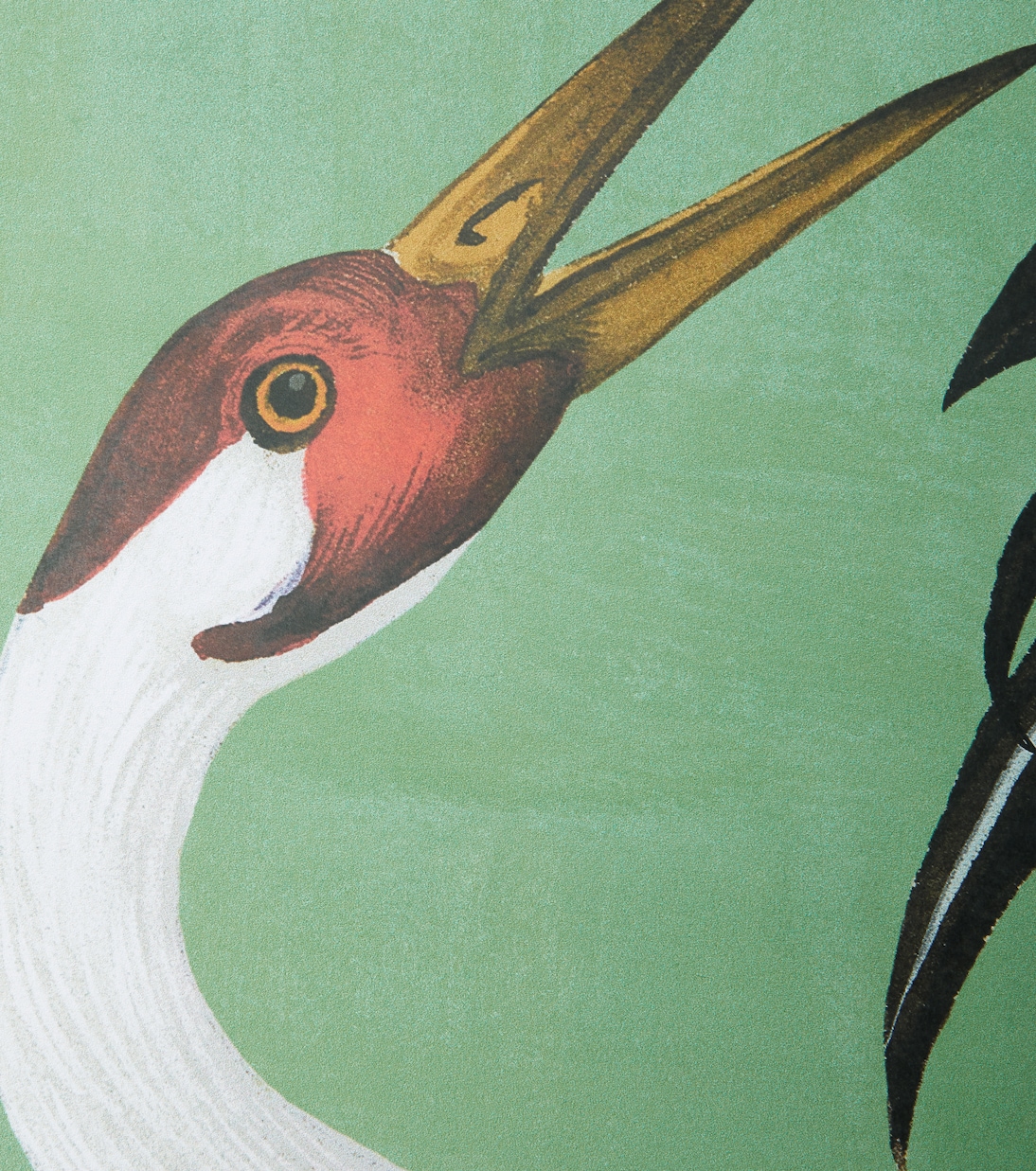Heron printed wallpaper | Gucci