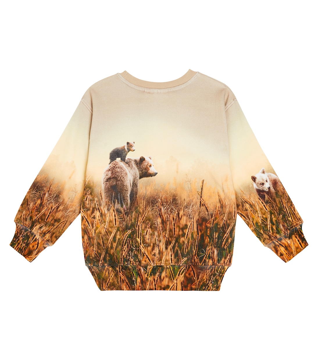 Sweatshirt Mattis aus Baumwolle | Molo