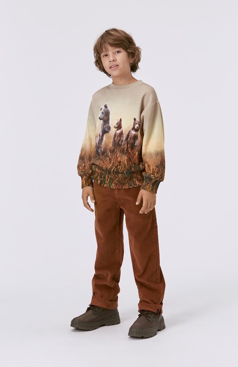 Sweatshirt Mattis aus Baumwolle | Molo