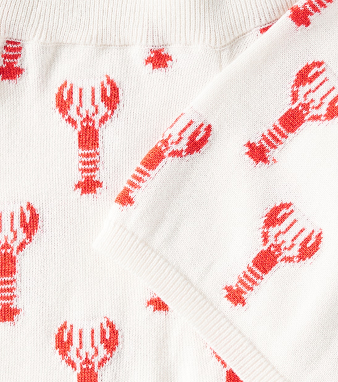 Bermuda Oia in cotone  | The New Society