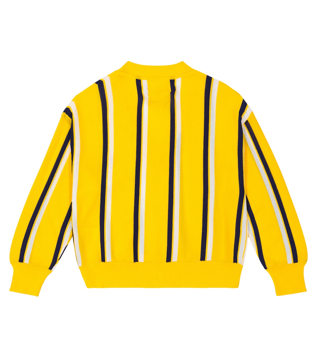 Racoon striped cardigan | The Animals Observatory