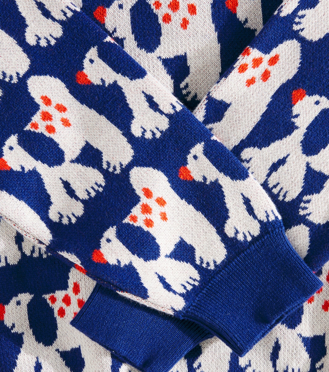 Fairy Dog jacquard sweater | Bobo Choses