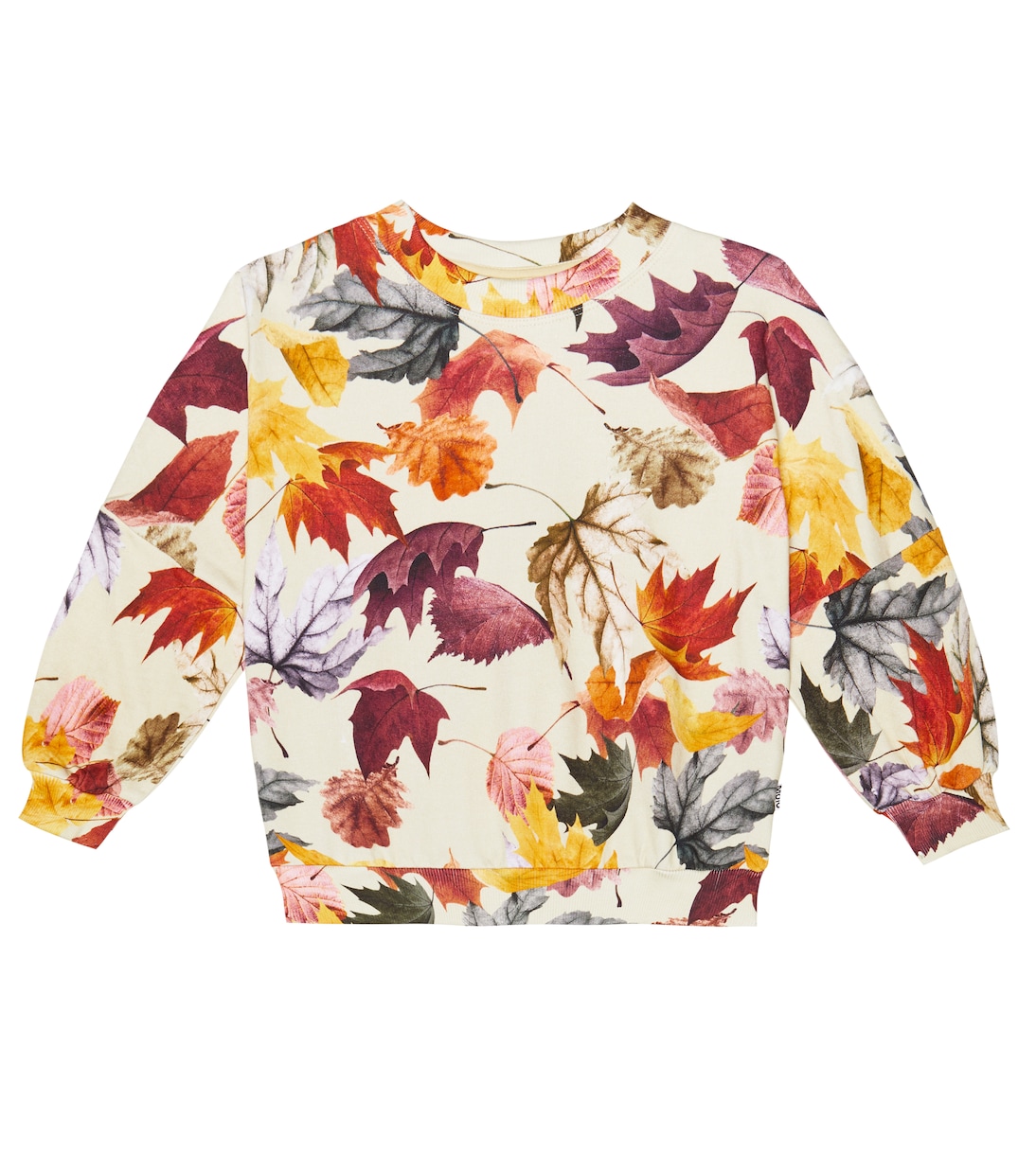 Marika printed cotton sweater | Molo