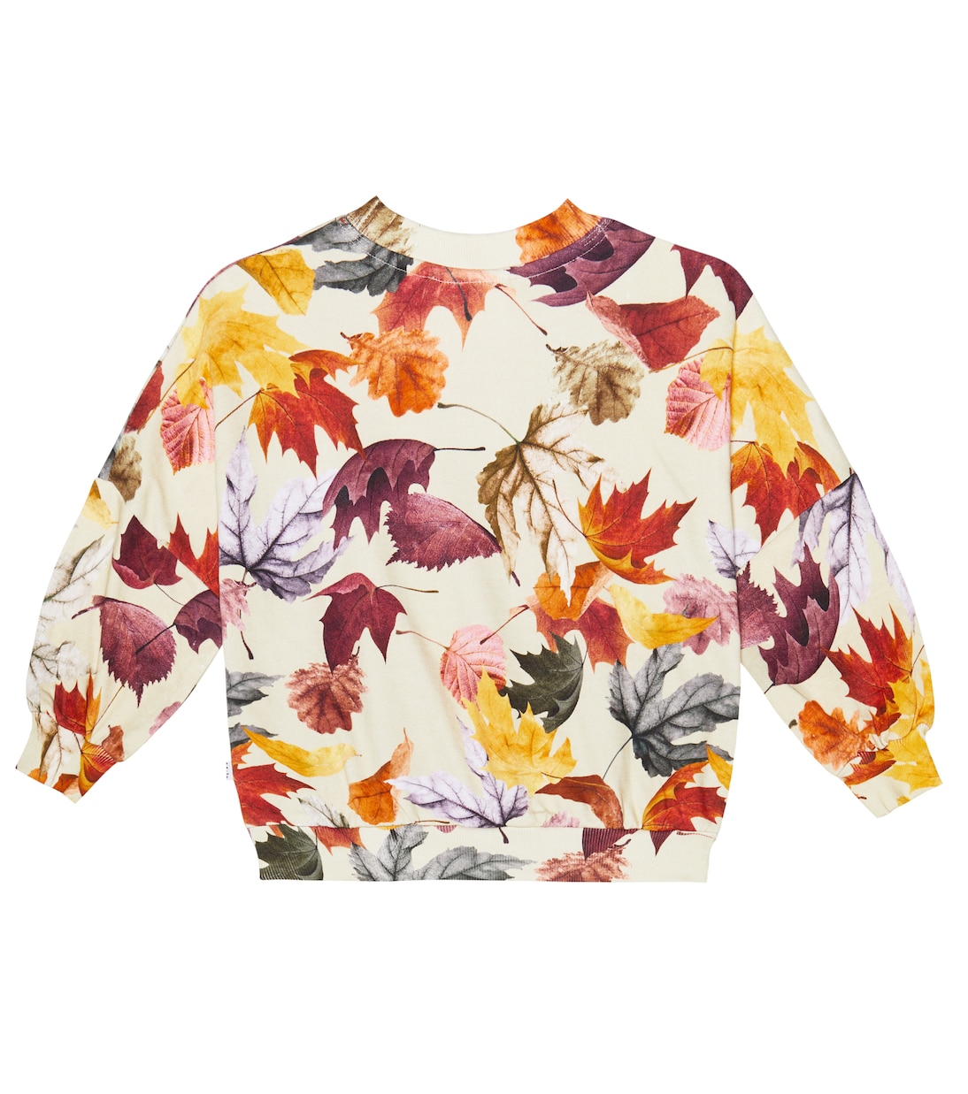 Marika printed cotton sweater | Molo