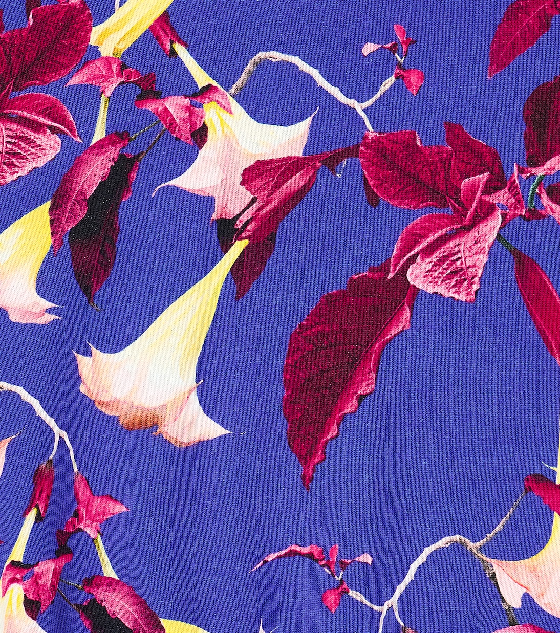 Felpa Marge in cotone con stampa | Molo