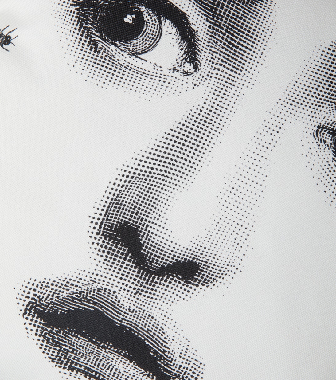 Cojín Ape Tema e Variazioni de algodón y lino | Fornasetti