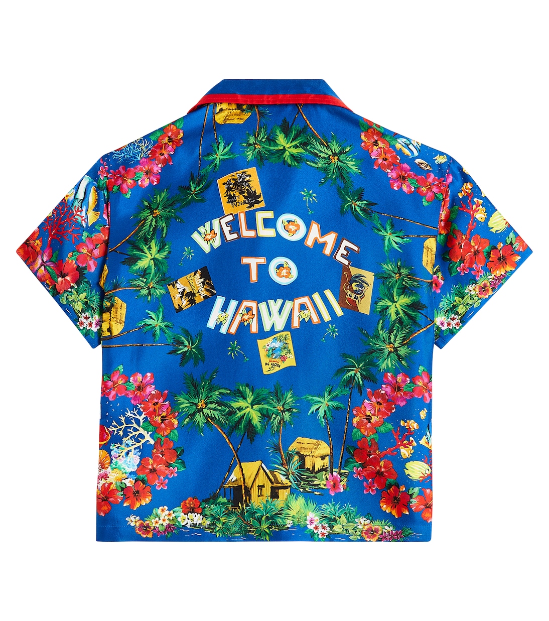 Bedrucktes Hemd aus Baumwolle | Dolce&Gabbana Kids