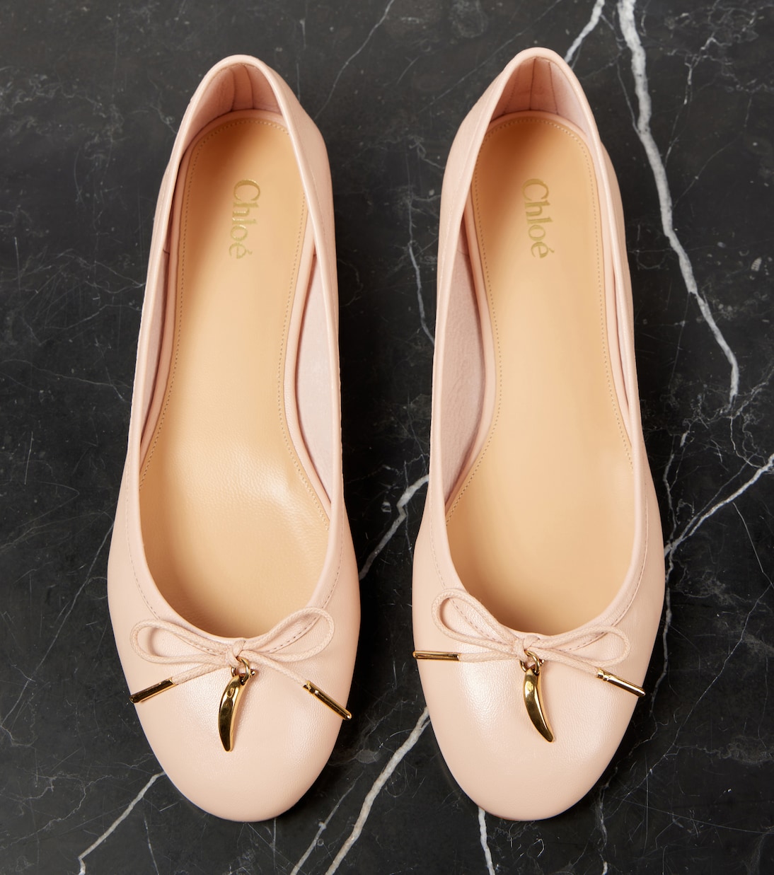 Iris leather ballet flats | Chloé