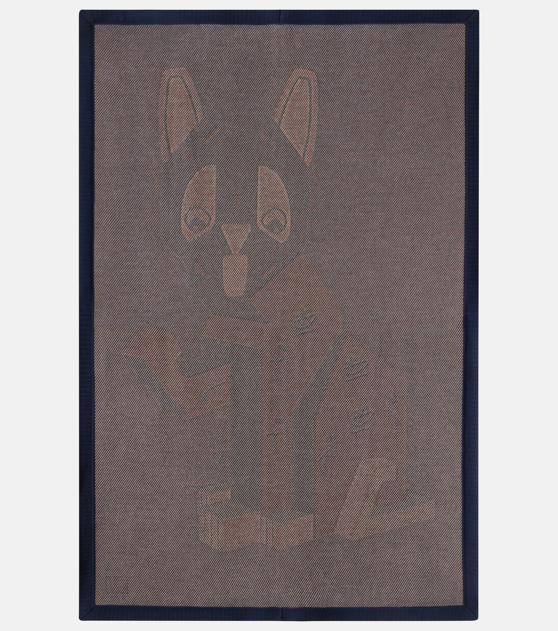 x Louis Wain wool blanket | Loewe