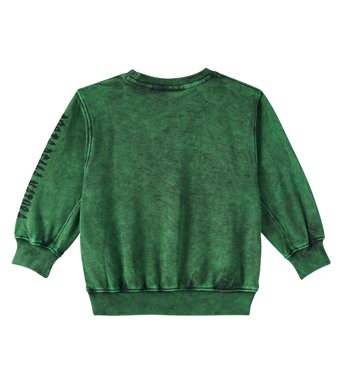 Felpa Magni in jersey di cotone | Molo
