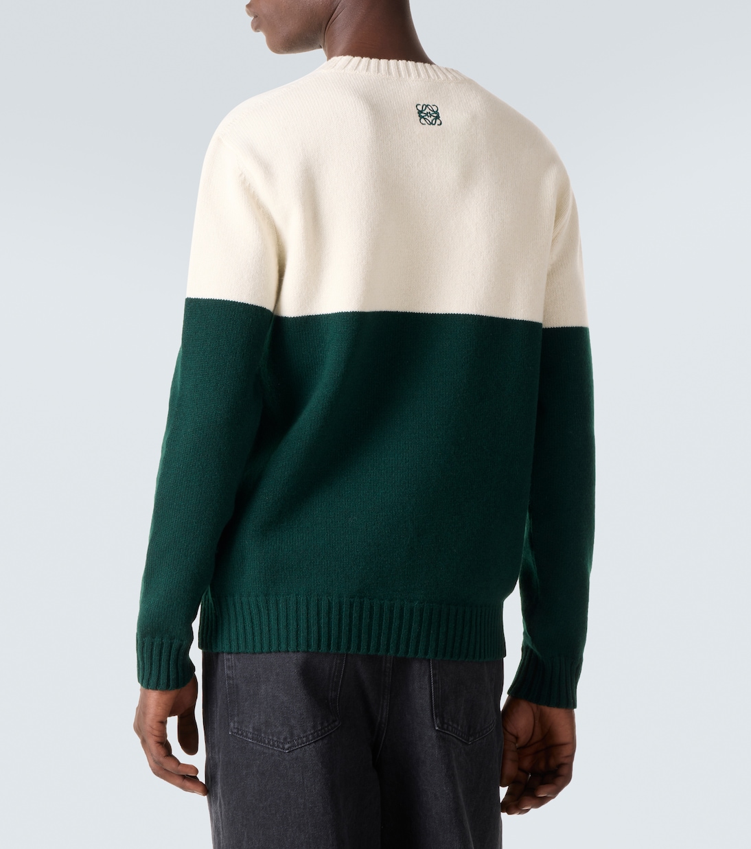 x Louis Wain jersey de lana bordado | Loewe