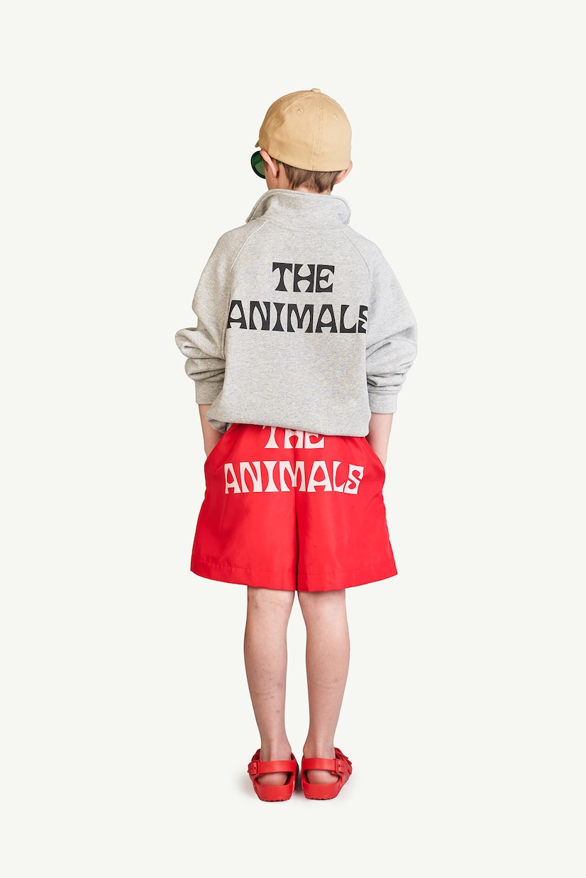 Puppy swimming shorts | The Animals Observatory
