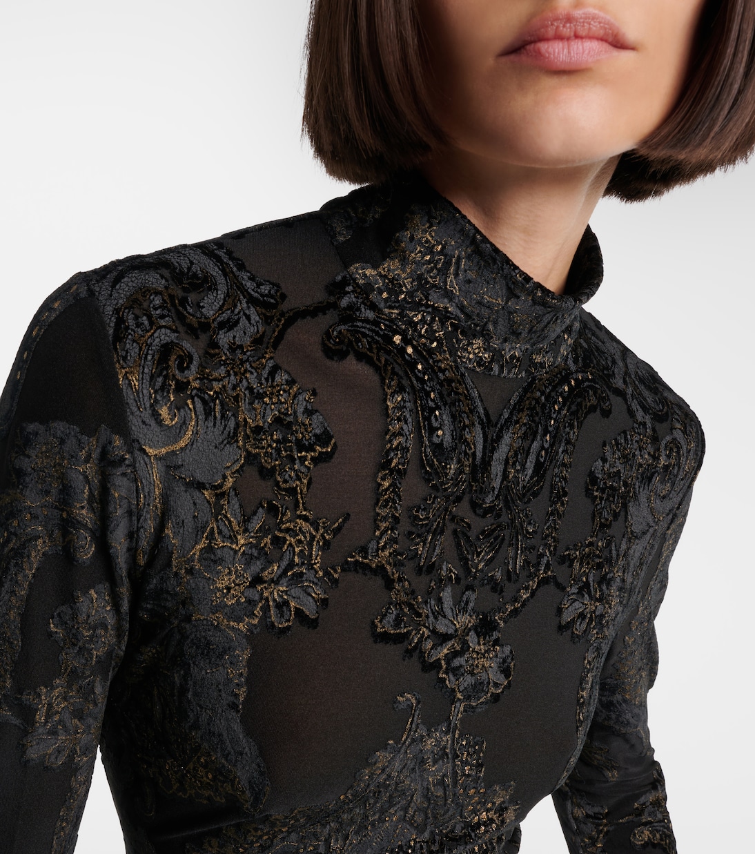 Embroidered velvet and mesh gown | Roberto Cavalli