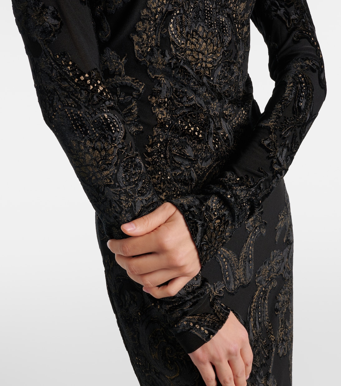 Embroidered velvet and mesh gown | Roberto Cavalli