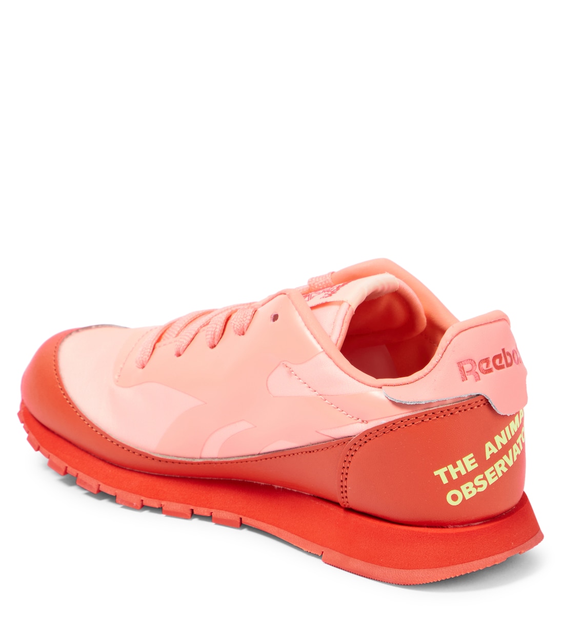 x Reebok leather sneakers | The Animals Observatory