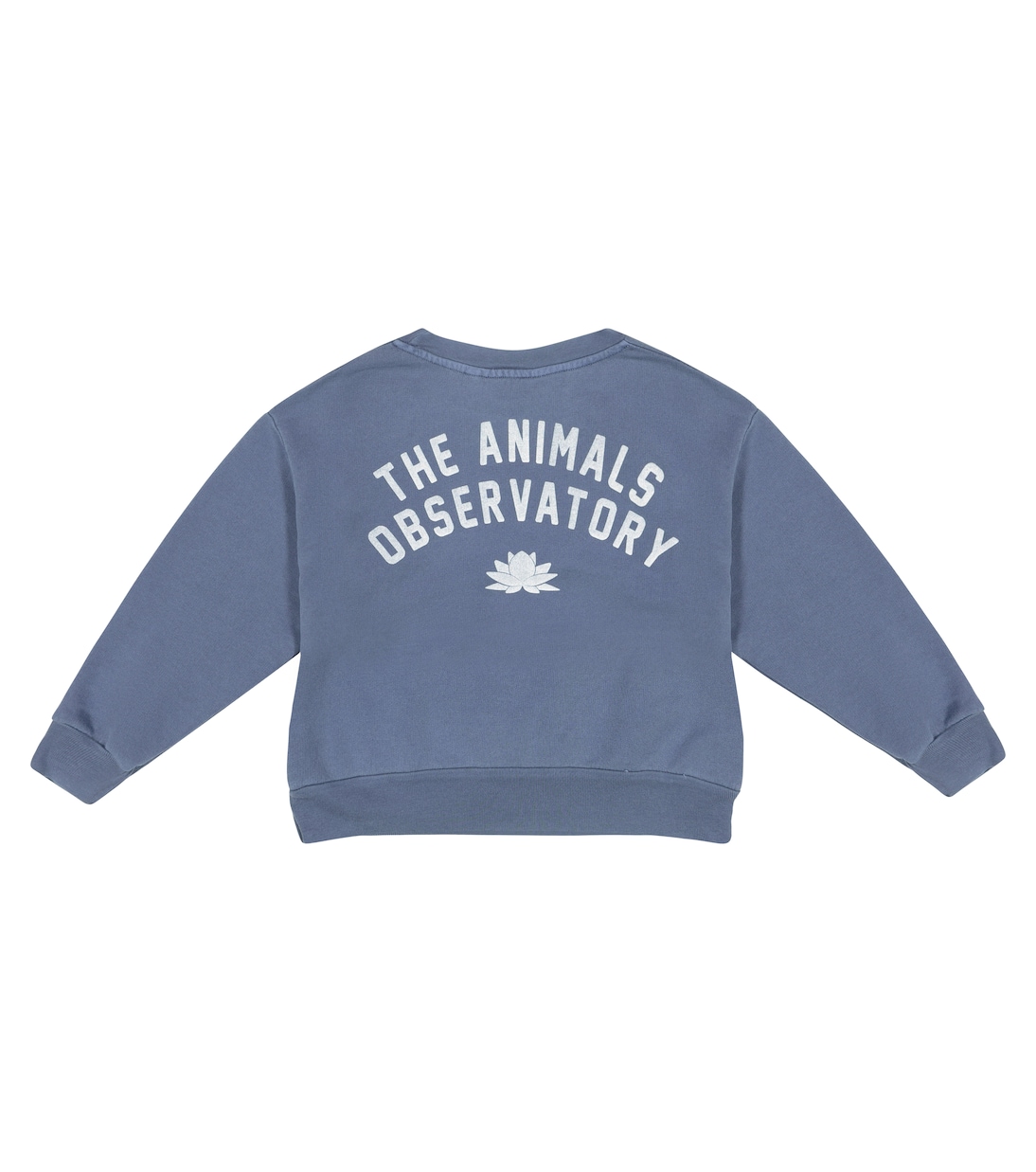 Bear cotton jersey sweatshirt | The Animals Observatory