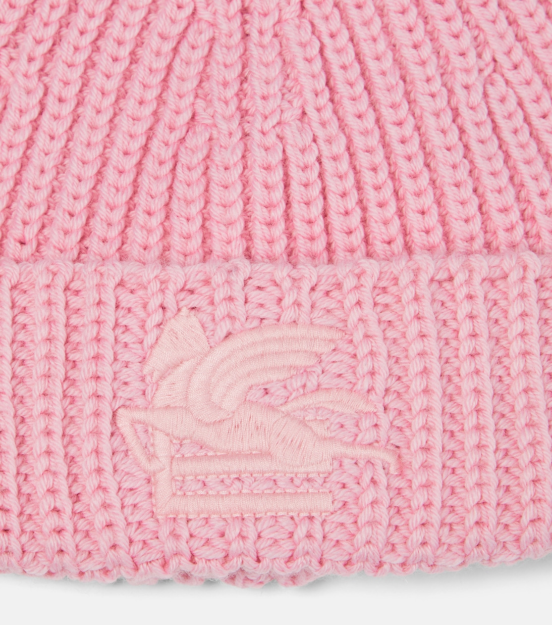 Pegaso wool beanie | Etro