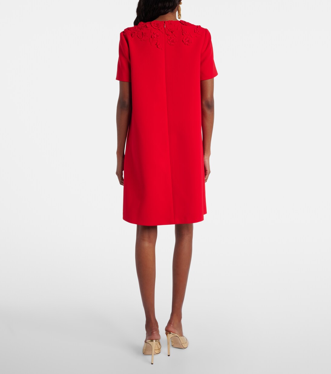 Embellished minidress | Carolina Herrera