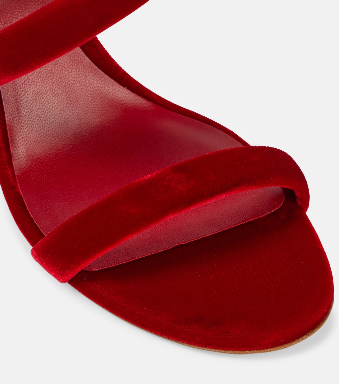 Sandalias Cleo 80 de terciopelo | Rene Caovilla