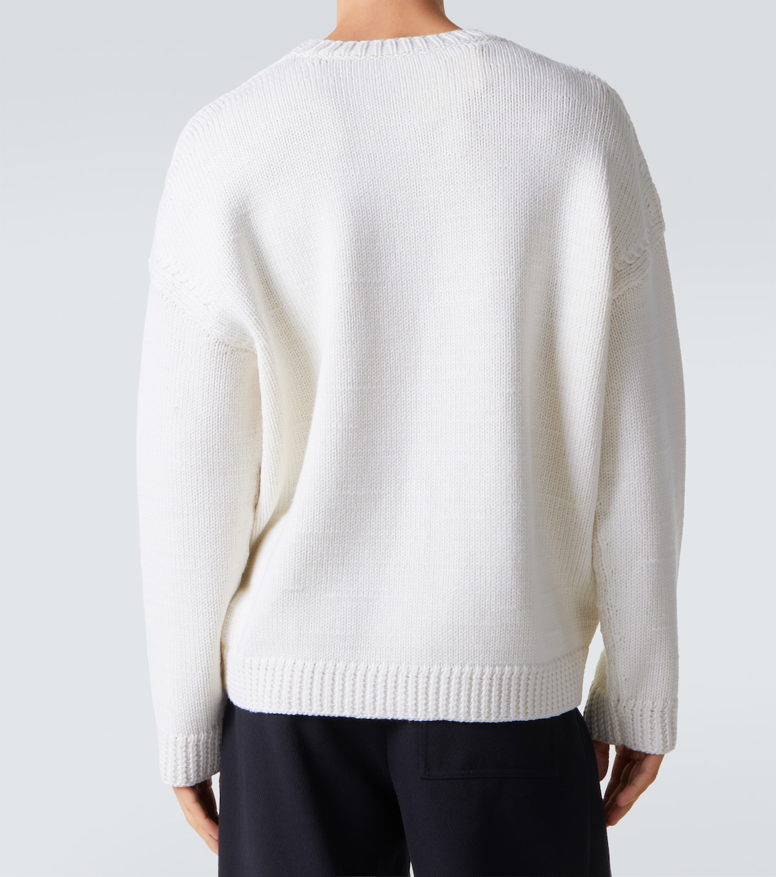 x Louis Wain embroidered wool sweater | Loewe